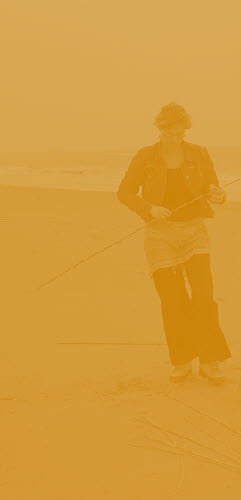 wp4a4c683c_1b.jpg